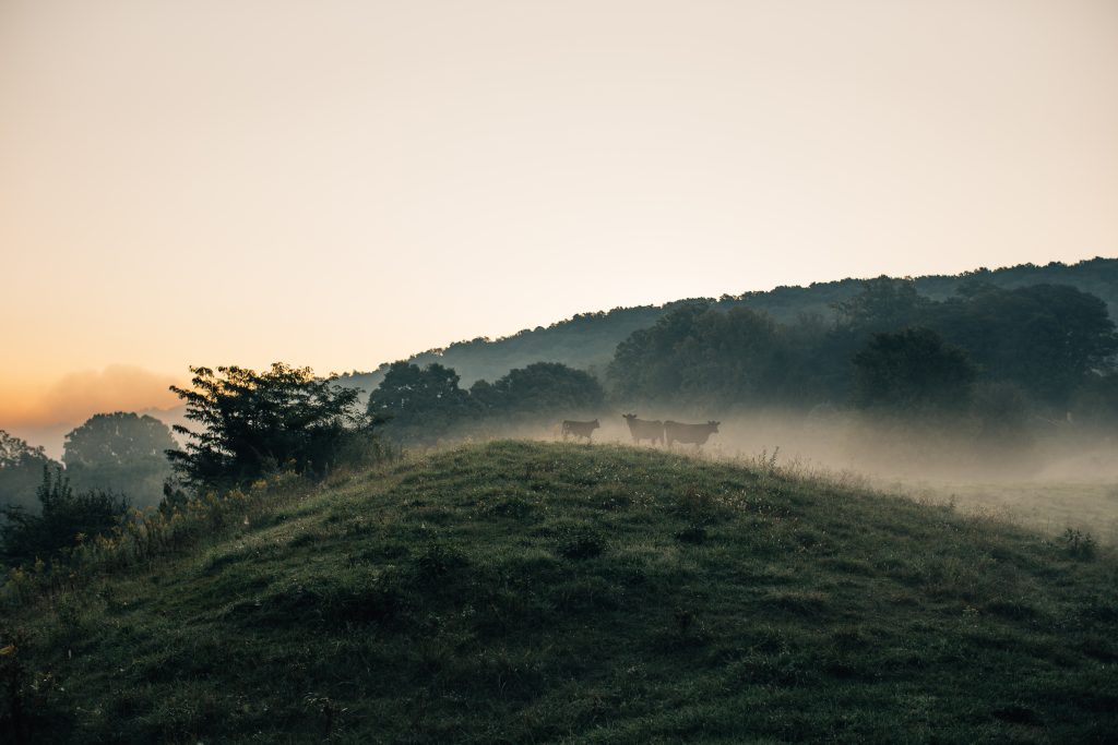 Pastoral